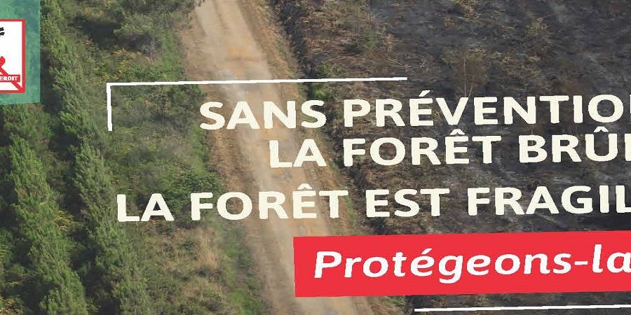 Affiche Défense des Forêts
