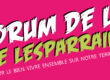 Forum-de-la-Vie-Lesparraine-bandeau